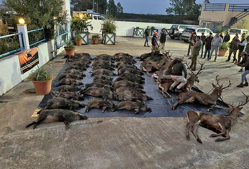 Resultado Montería Rodilla 2024 Entre Amigos